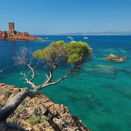 Appartement Frejus Avec Jardin, Piscine, Plage, Tennis Dış mekan fotoğraf