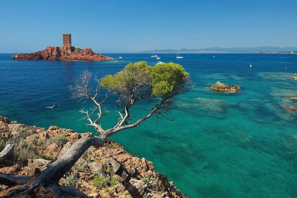 Appartement Frejus Avec Jardin, Piscine, Plage, Tennis Dış mekan fotoğraf